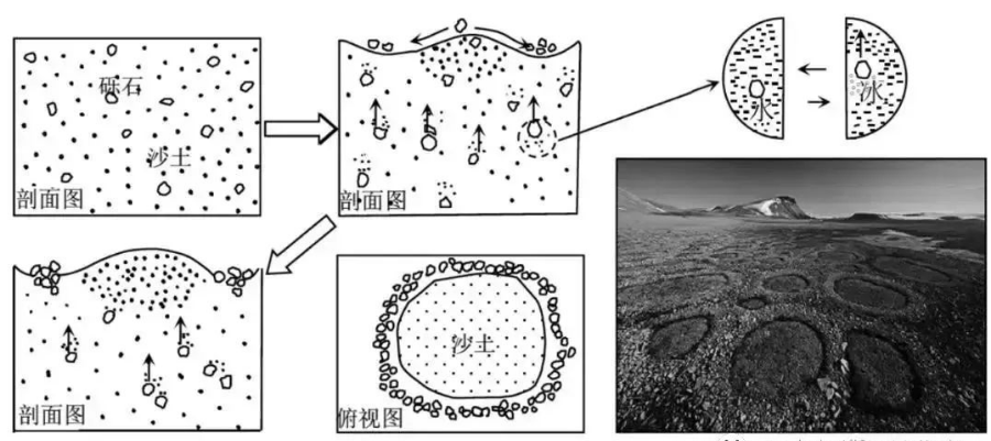 好像有人有意识地将石头围成一圈,这种冻土地貌叫作石环