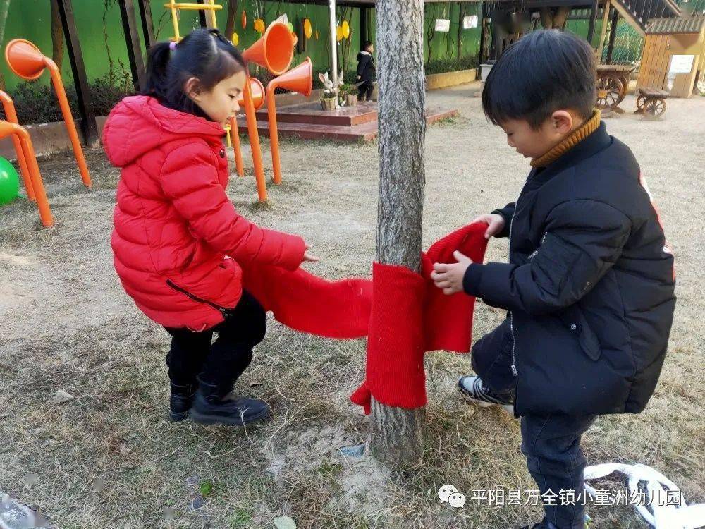 班本课程保护树木温暖过冬