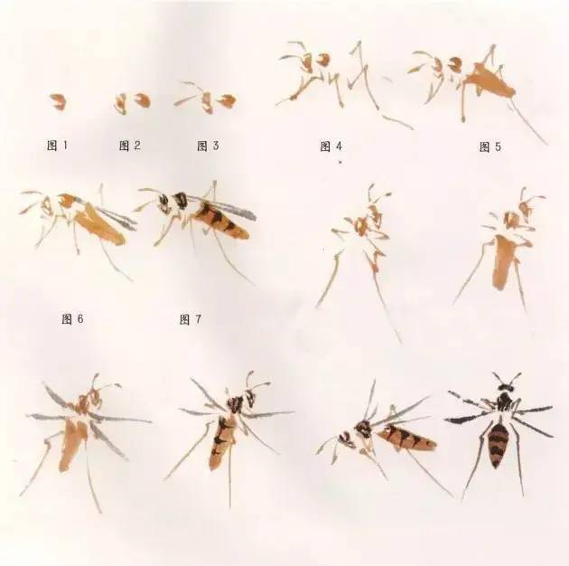 画蜜蜂,胸,腹之间可点黄色,也可不点. 黄蜂画法步骤: 1.画背部;2.
