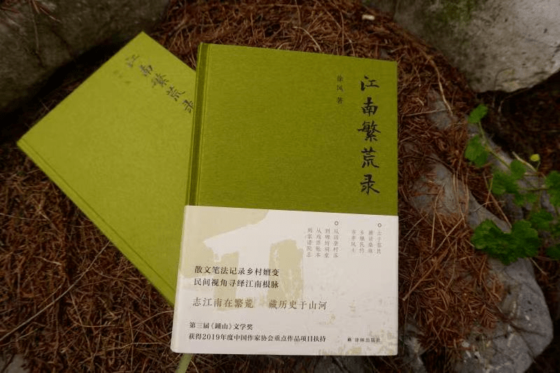 徐风笔下民间的江南,再造了多义的江南,也续写了当代的江南