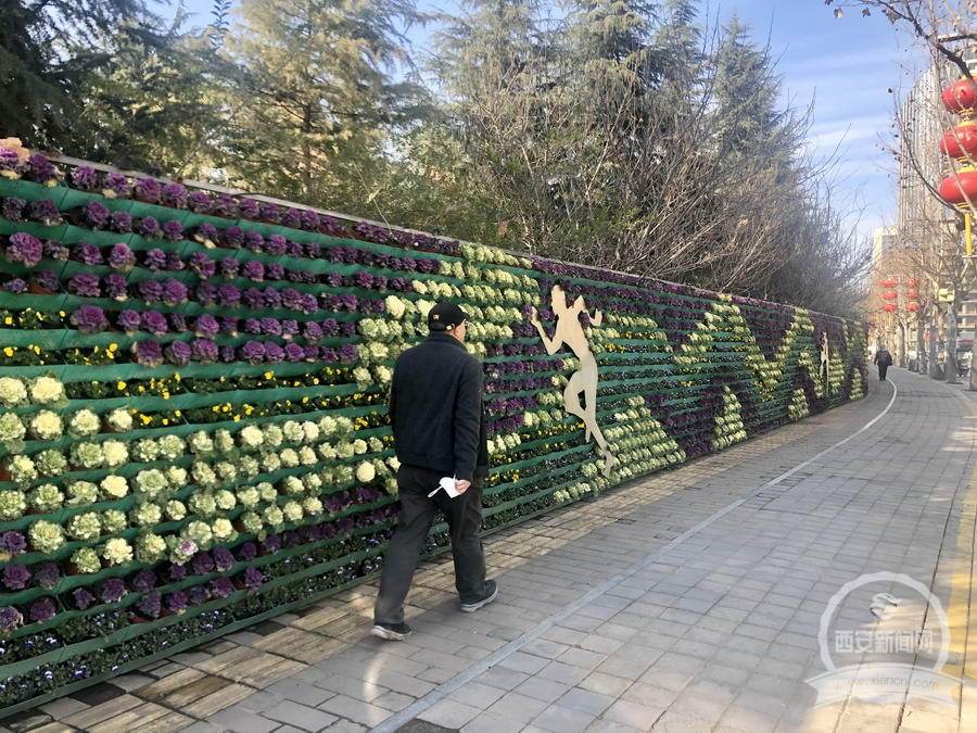 遮绿透绿露绿 绿成三色 花雕花镜花墙 花开四季