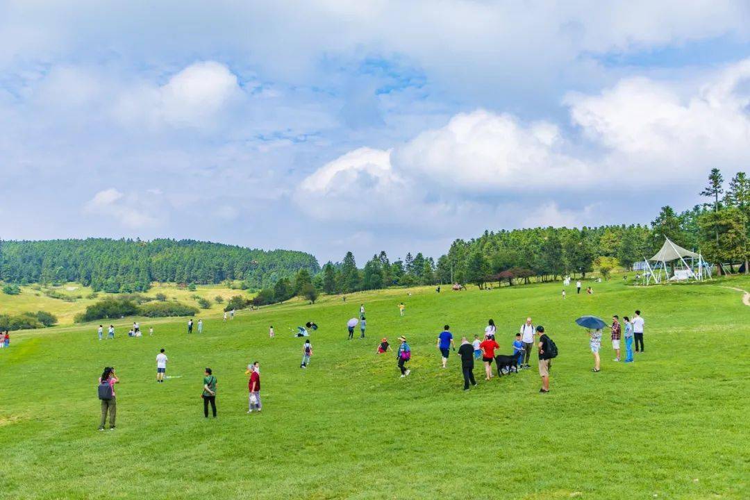 仙女山森林公园 仙女山国家森林公园素有"东方瑞士"的美誉,以其江南