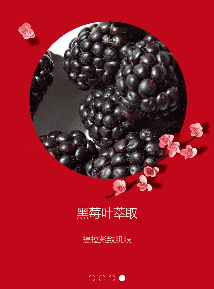 750_1013 竖版 竖屏