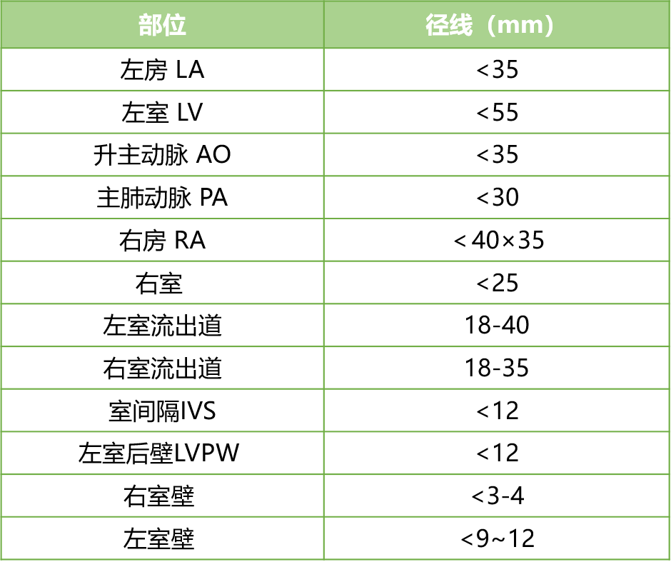 心脏超声正常值