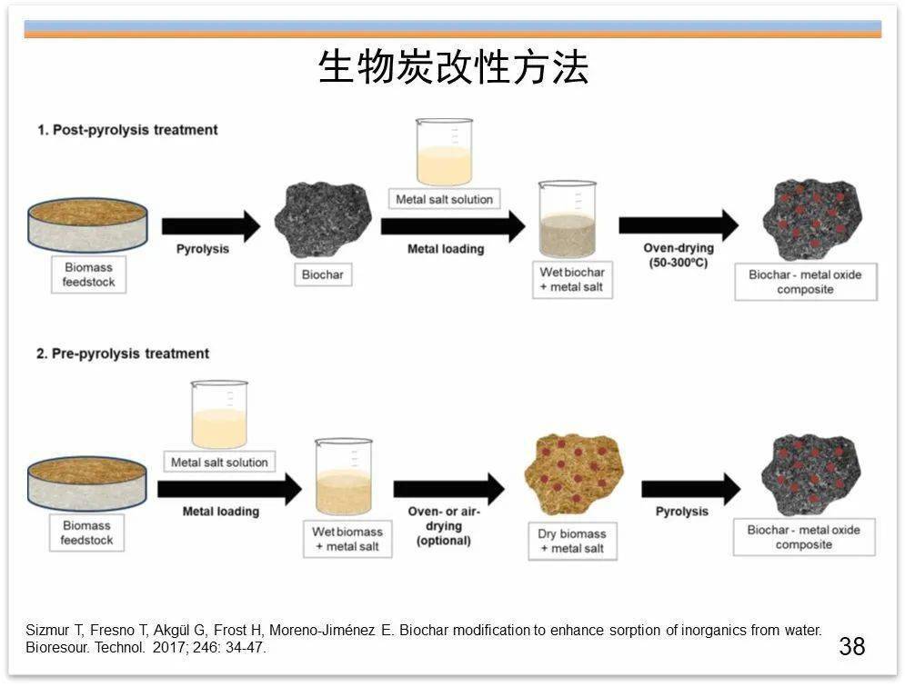 专家视角生物炭及改性生物炭在土壤改良水处理和环境修复中的应用