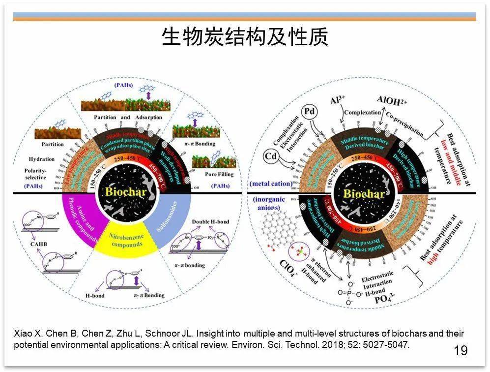 专家视角生物炭及改性生物炭在土壤改良水处理和环境修复中的应用