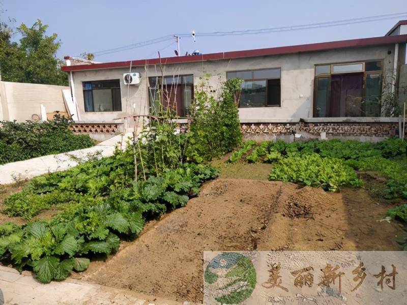 河北沧州农村小院上网出租200平院子加半亩菜园年租一万
