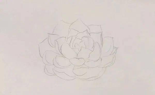 彩铅画入门教程:排线技法