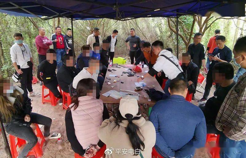 电白一个大型"番摊"赌场被打掉,14人被捕!