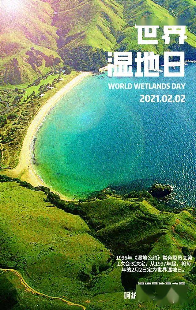 世界湿地日丨2021年世界湿地日主题"湿地与水"