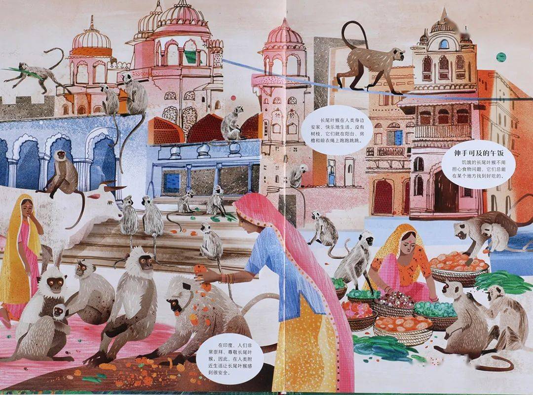 当那些出现在我们生活中,出现在荧屏上的可爱的动物和植物慢慢消失在