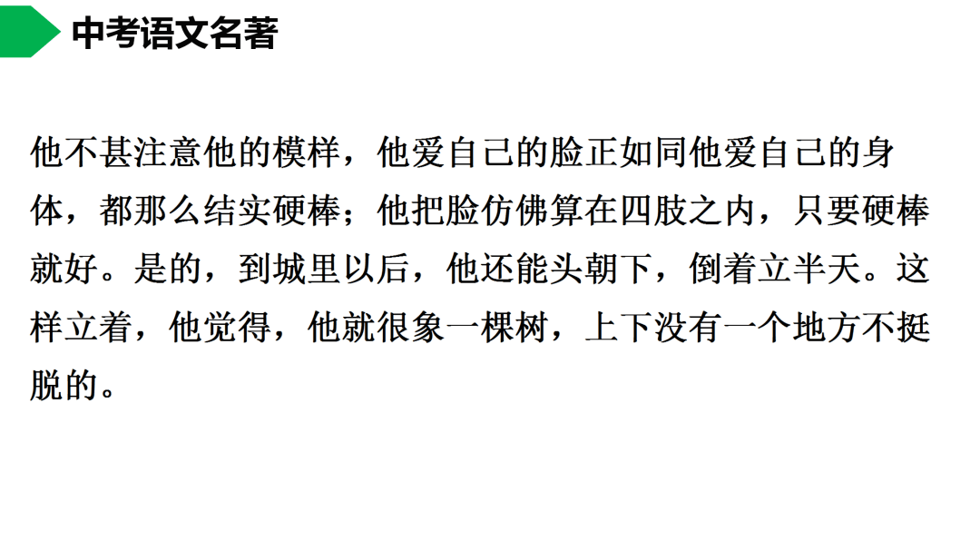 初中语文七下《骆驼祥子》名著导读 思维导图  考点合集,寒假预习必收