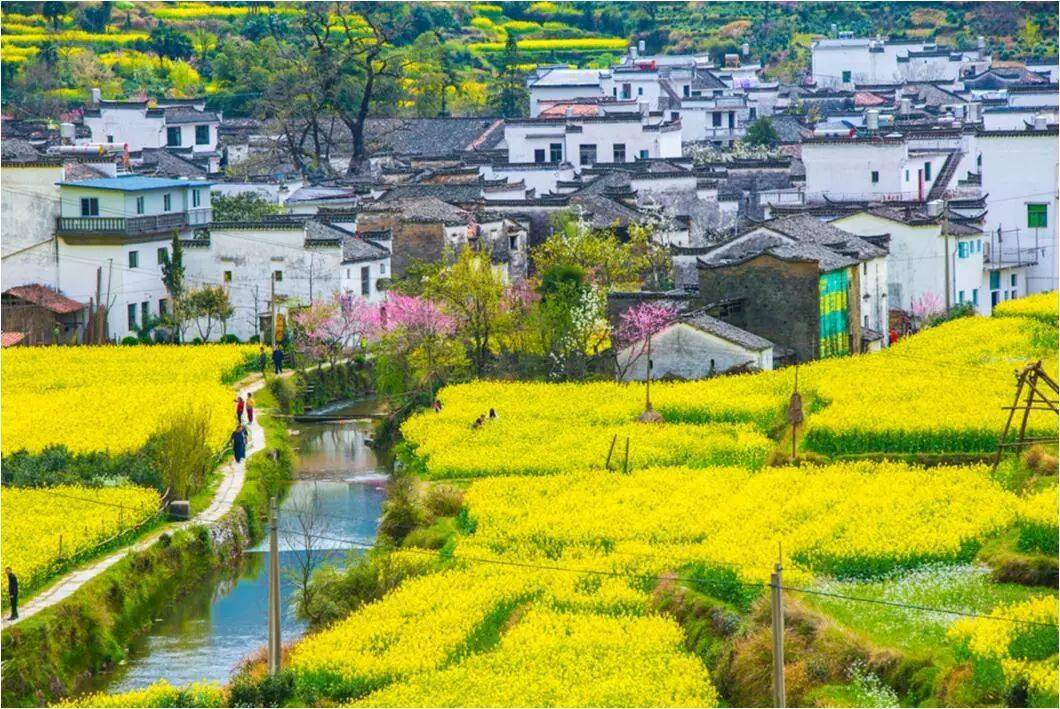 "徽州春韵"—婺源油菜花\宏村摄影采风,3月16-20日五日行程!