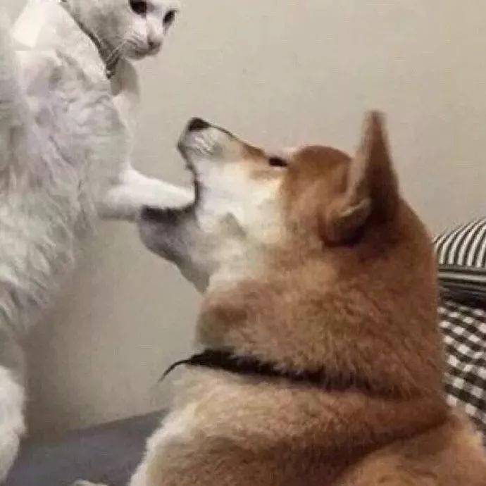 情侣头像男女头像