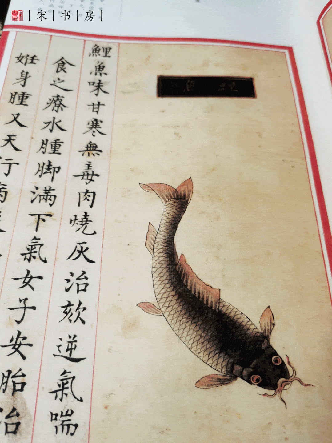 包括外来文化带入中国的动植物,体现了中华民族积极探索,融合创新,古
