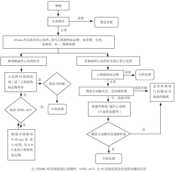 造影:可准确反应冠状动脉狭窄的程度和部位,但应在排除主动脉夹层后行