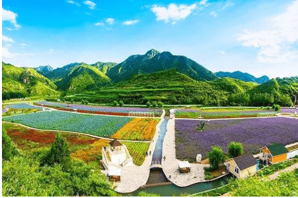中国湖北那些好玩又好看的景点:九真桃源,香草花田,凤
