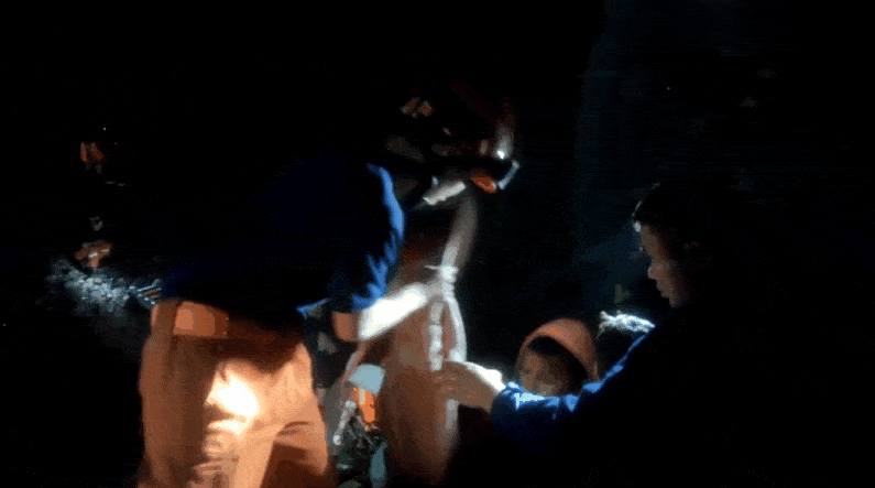 795_443gif 动态图 动图