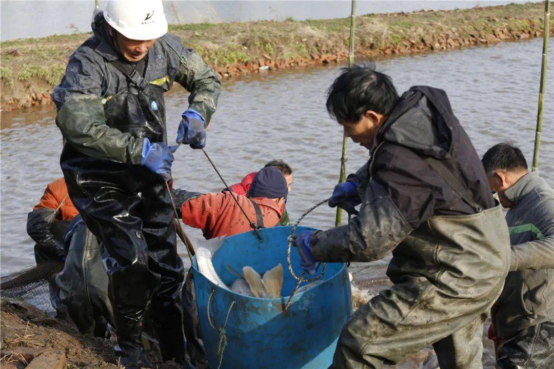 味美!人欢!_捕捞