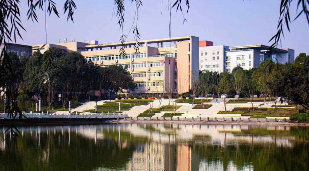 寒招| 四川大学 / 西南政法大学
