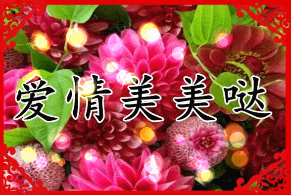 送你一首《美美哒》,祝你健康平安!