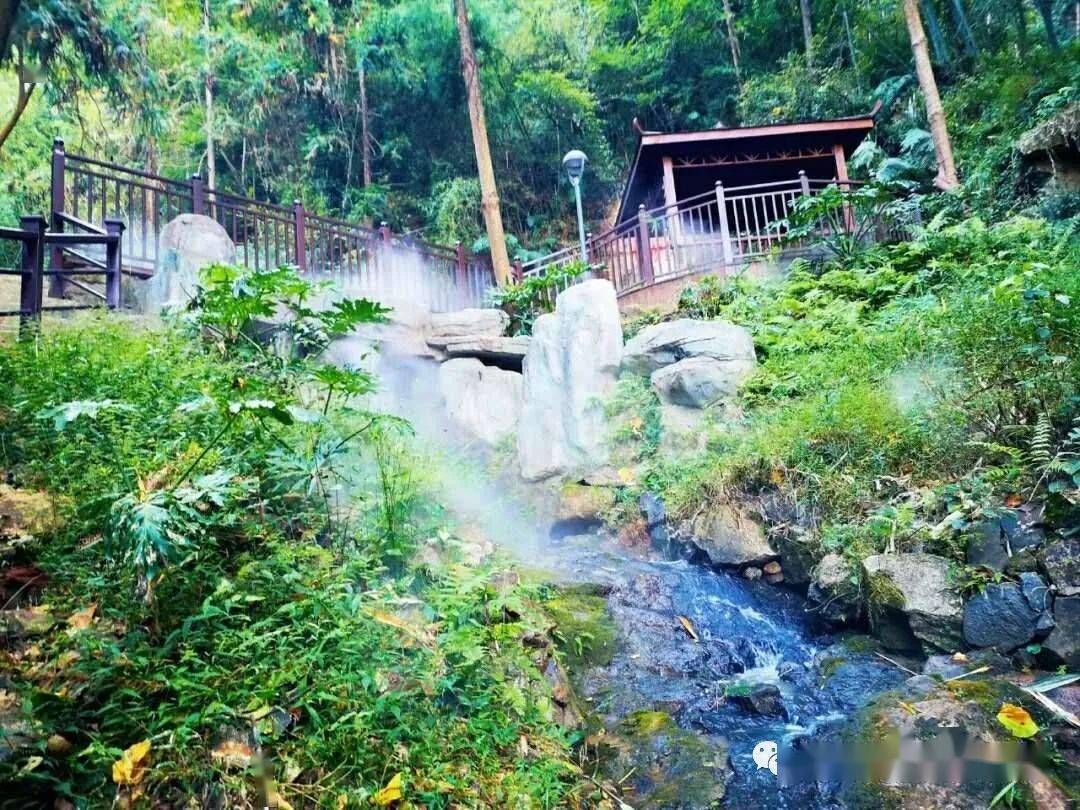 赣粤缘野 桃源乐境 深隐山谷中的世外桃源 定南 非遗文化传承 棕编