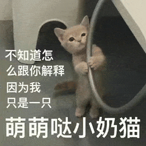 我只是一只萌萌哒小奶猫表情包
