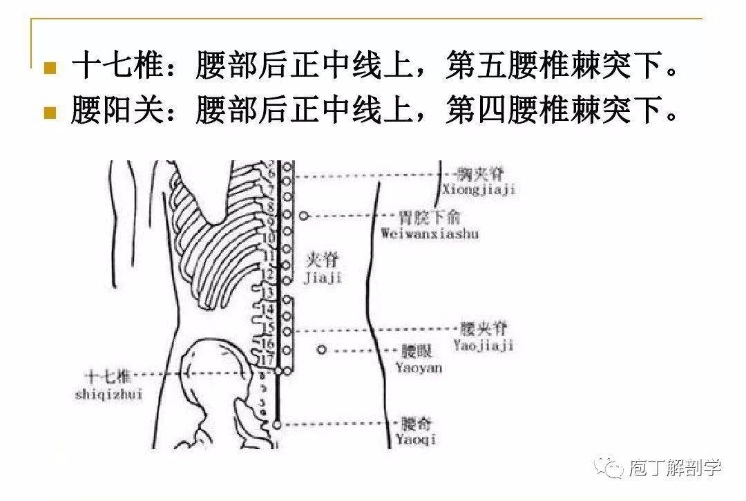 腰椎间盘突出症的针灸治疗