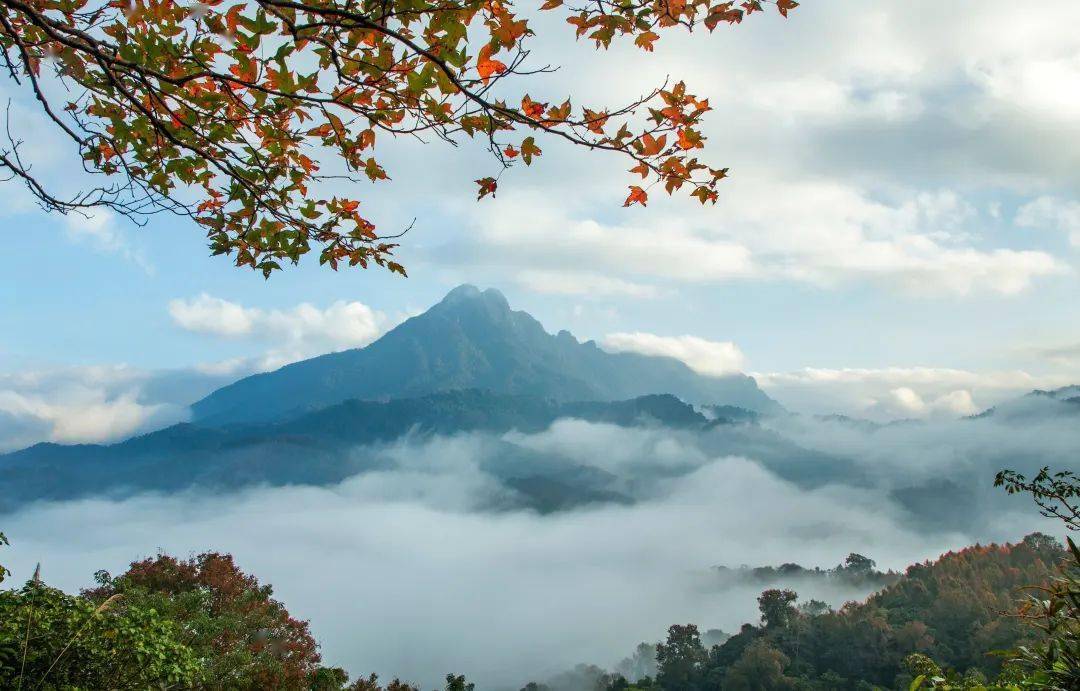 五指山自然保护区