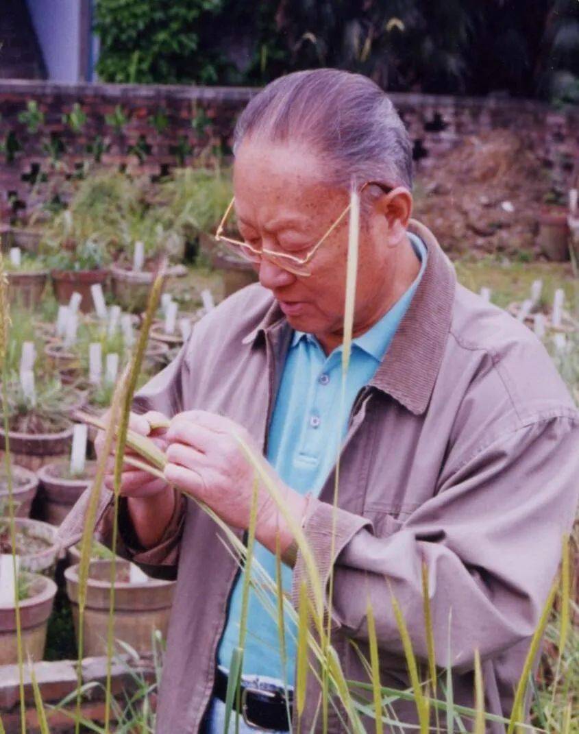 不想当农业专家的牙医不是好飞行员——小麦育种专家颜济的传奇人生