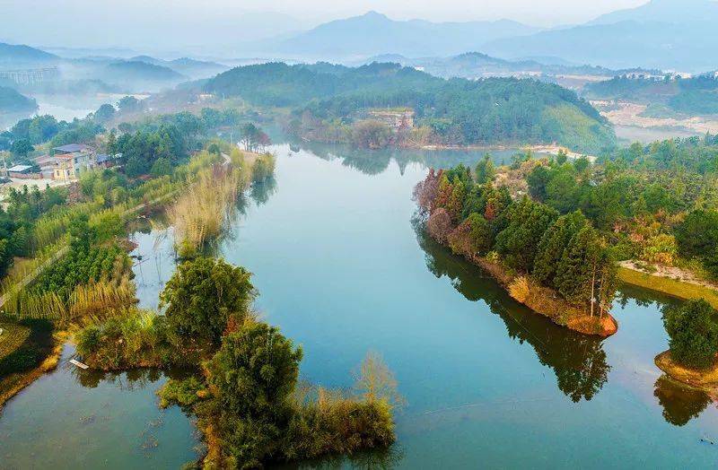 福建景区拜年丨白鹭天堂武平千鹭湖景区向全国人民拜年