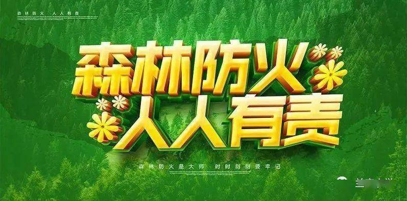 平度市教育和体育局,兰底小学关于做好我市森林防火致学生及家长的