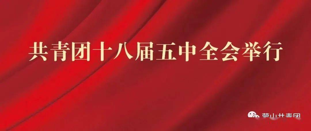 2021年共青团工作怎么干?听团十八届五中全会最新提点