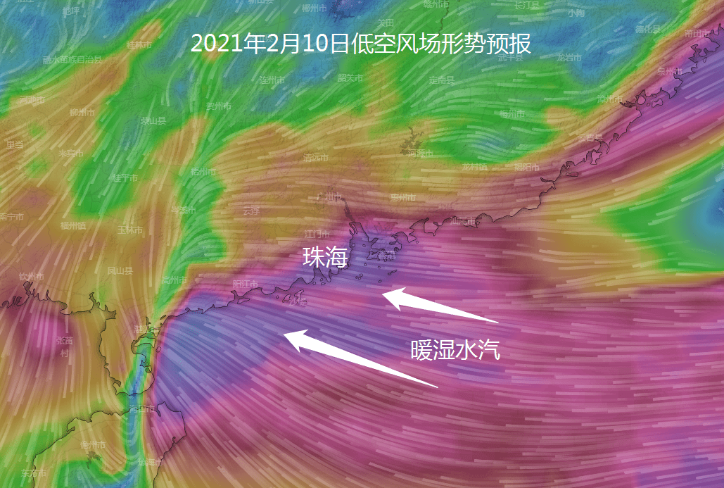 急降10℃!大雨 冷空气杀到阳江,春节