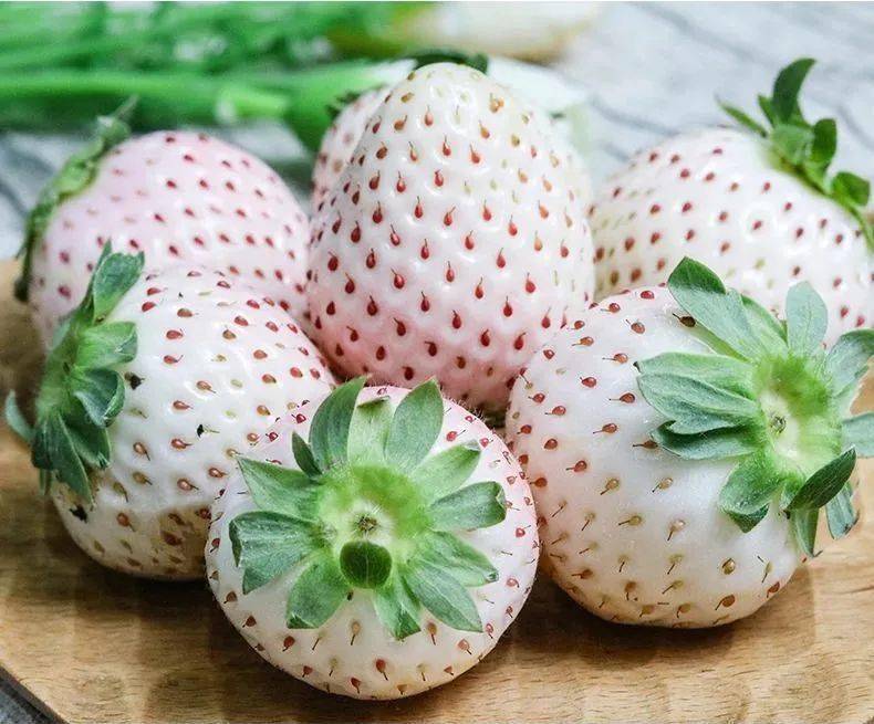 草莓自由日本800元斤的淡雪草莓新春特惠只要100多