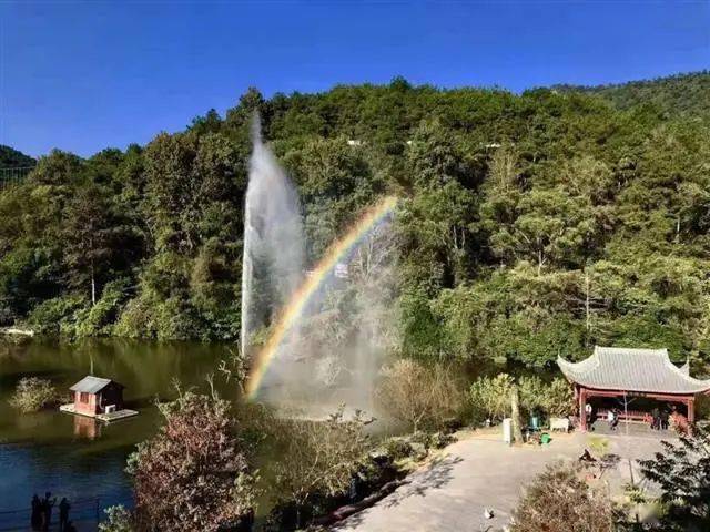 逍遥湖景区门票限时半价啦!