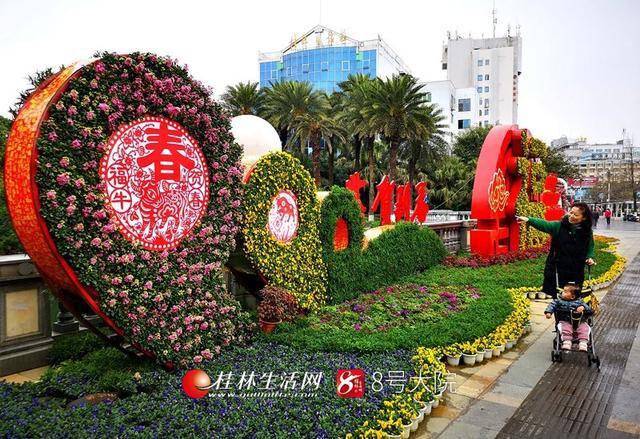 相关企业在市区主要旅游通道,重要节点,广场和各公园景区共摆放60万盆