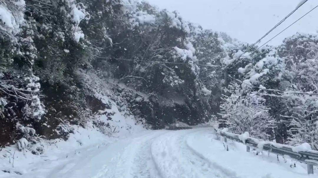 证据确凿今天文山下雪了