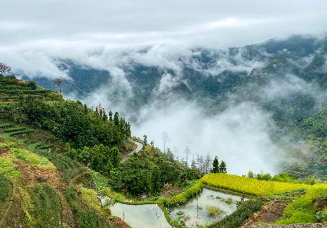 龟湖镇:山水秘境展新颜,点"石"成金闯新路