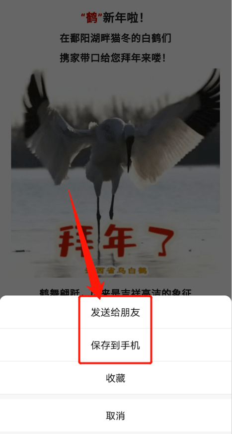 恭"鹤"新禧,江西人自己的贺岁表情包来啦!
