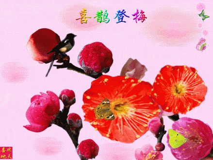 今天腊月二十九,太太太漂亮了,放到圈子里,醉倒一批人