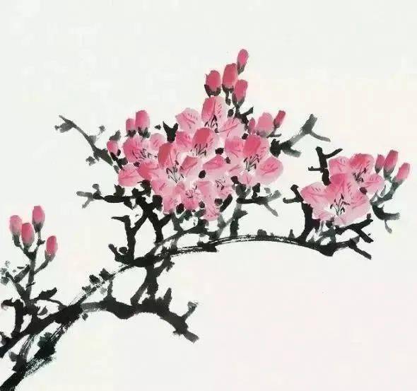 【国画教程】海棠花,杜鹃花的画法和上色