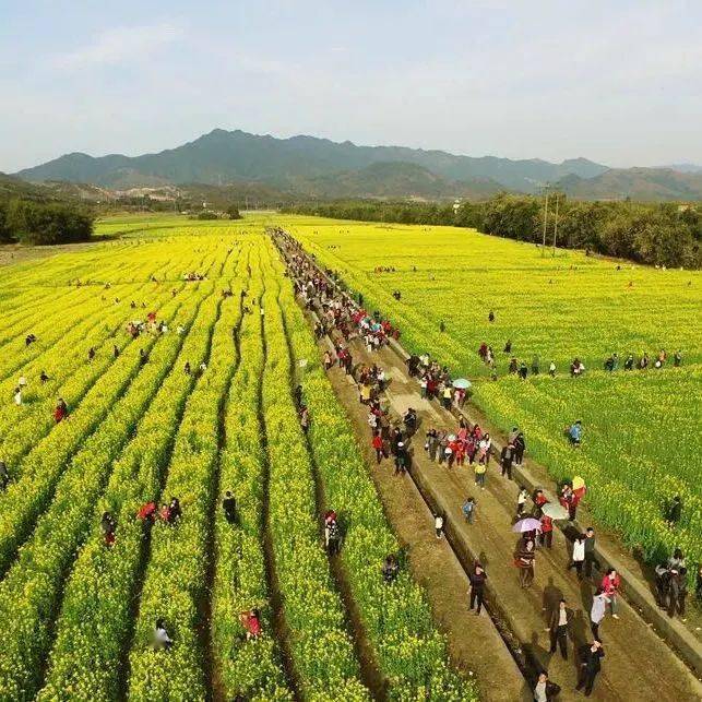 春节打卡韶关百林湾,带上家人朋友,一起奔赴一场向往的生活