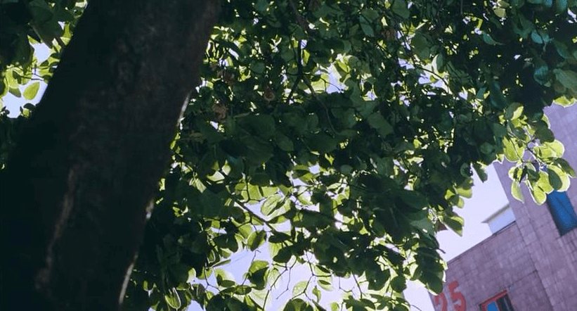 被家人遗弃的77岁韩国影后,命该如何?