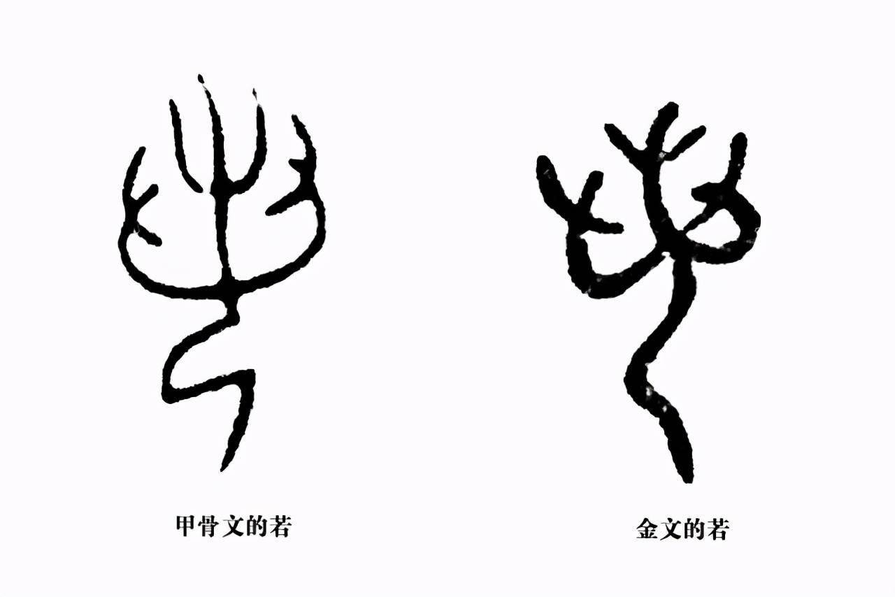《说文解字》第388课:细说"诺"字,一诺千金的"诺"何义?