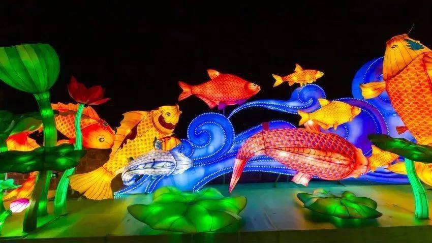 大理古城新年灯会游玩攻略来啦!