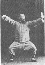 口诀:云手只是手连环,阴掌阳掌左右翻;进退开合虚实掌,八法圈转一俱