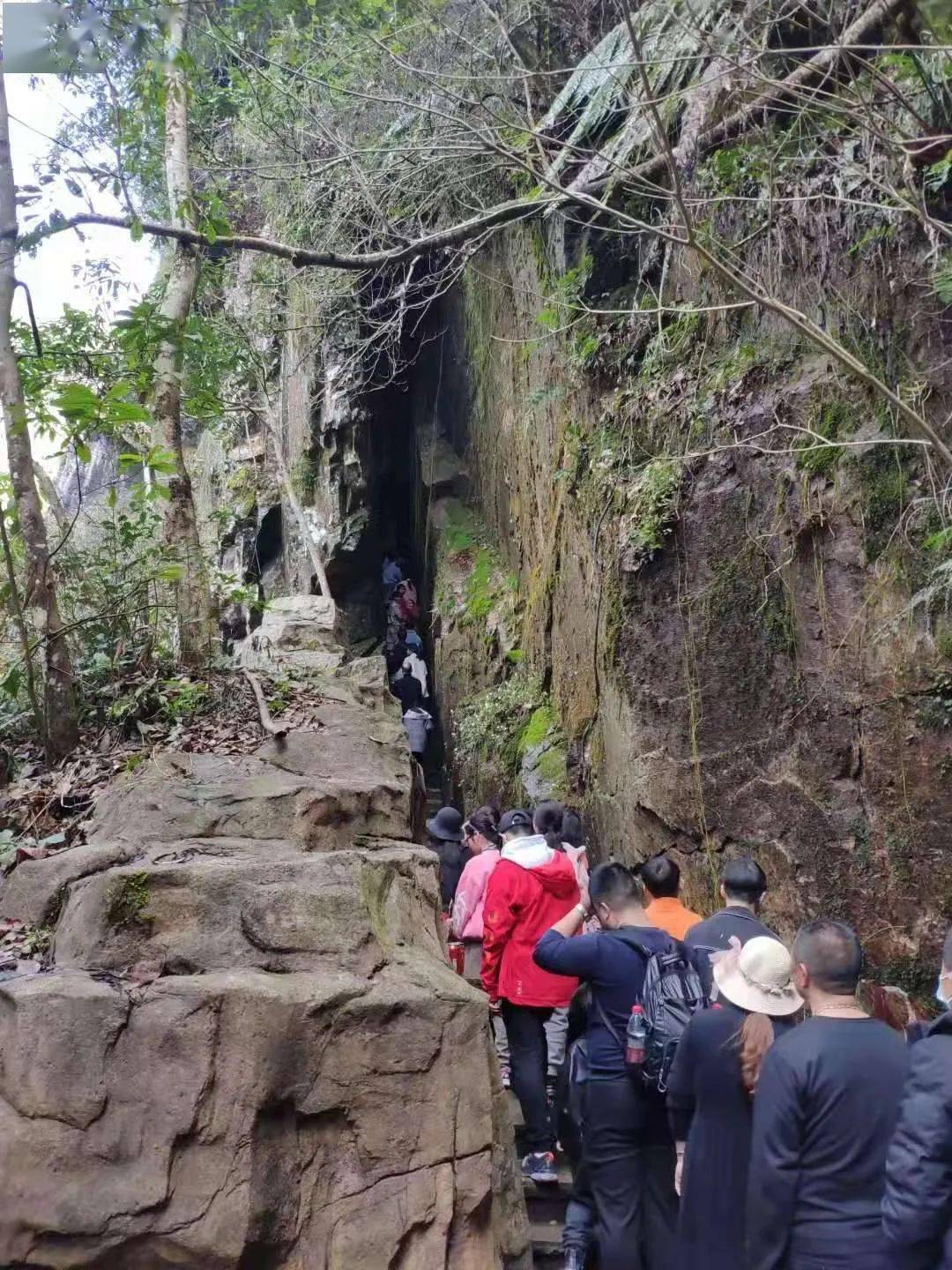 南浦溪景区,仕阳矿坑景区,三魁百丈漈景区,罗阳龙井坑景区到处也是人