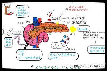 1 胰腺炎有哪些症状呢?