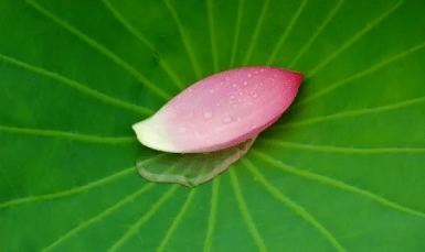 世态炎凉,我们需要守心自暖